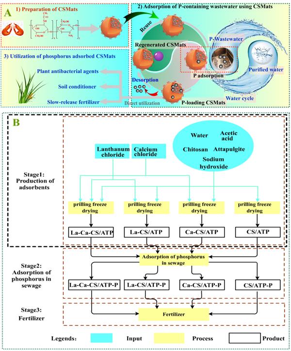 課題組綜述論文“Sustainable chit